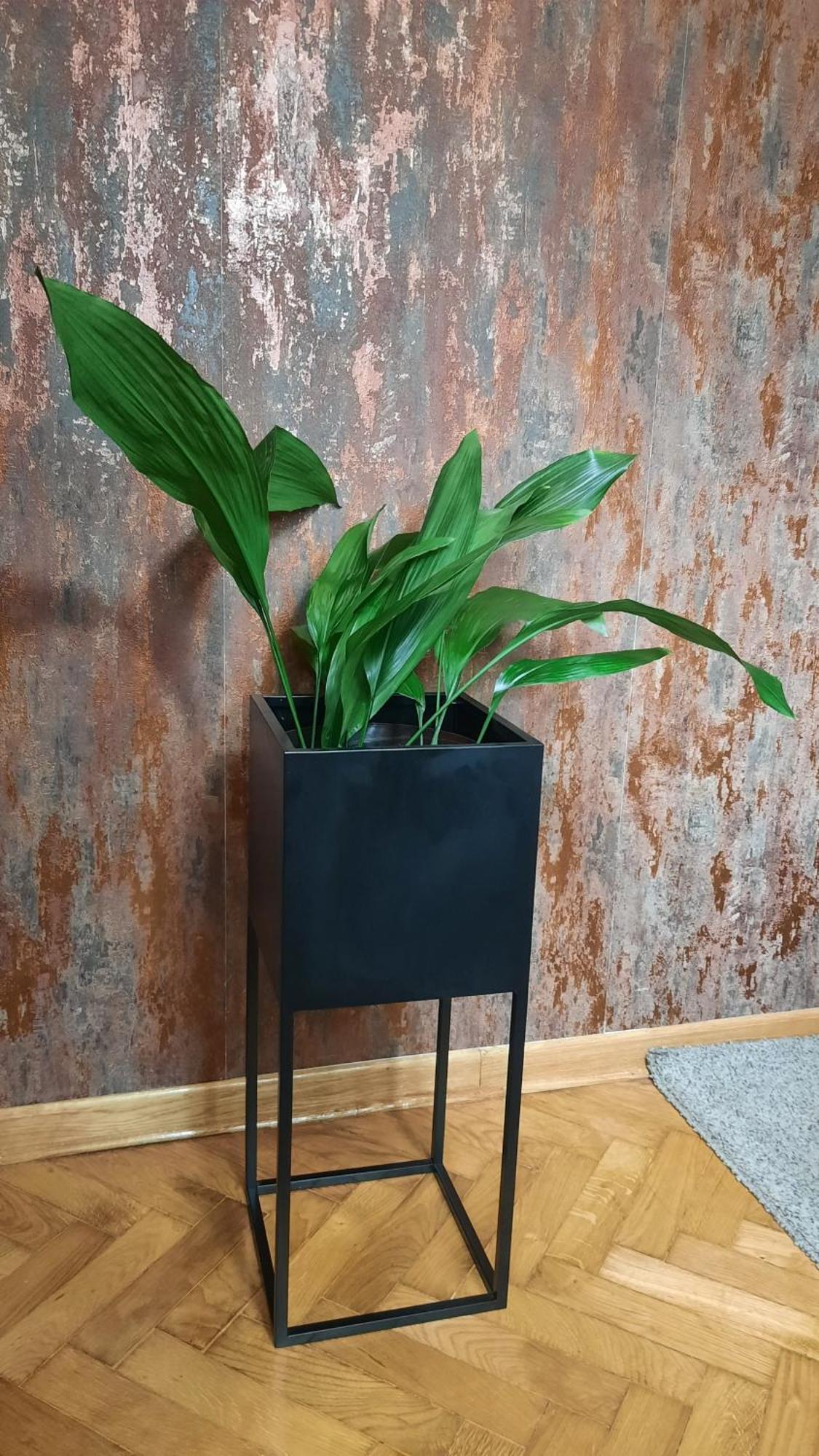Apartman D Lux Jacuzzi Kragujevac Extérieur photo
