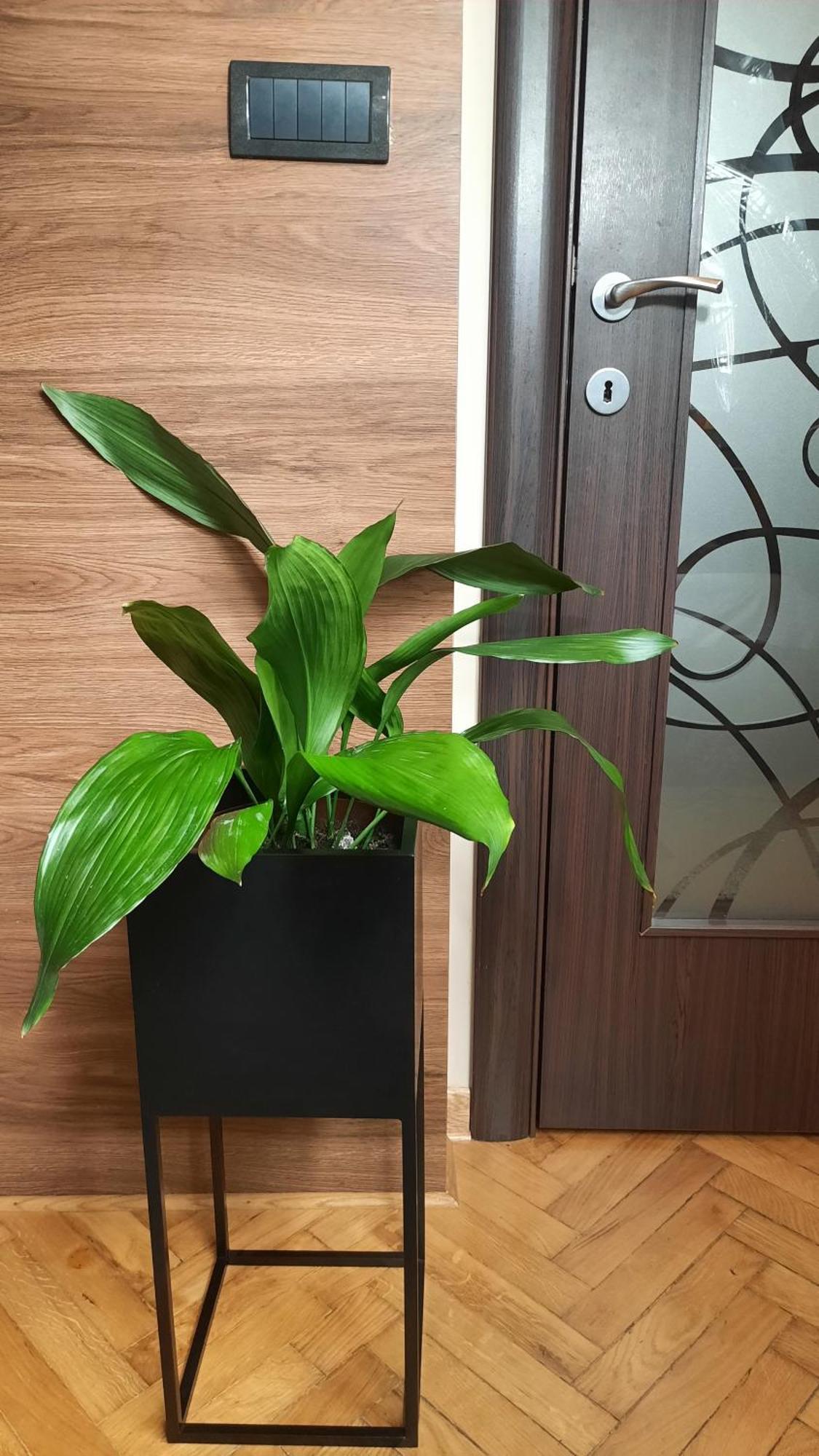 Apartman D Lux Jacuzzi Kragujevac Extérieur photo