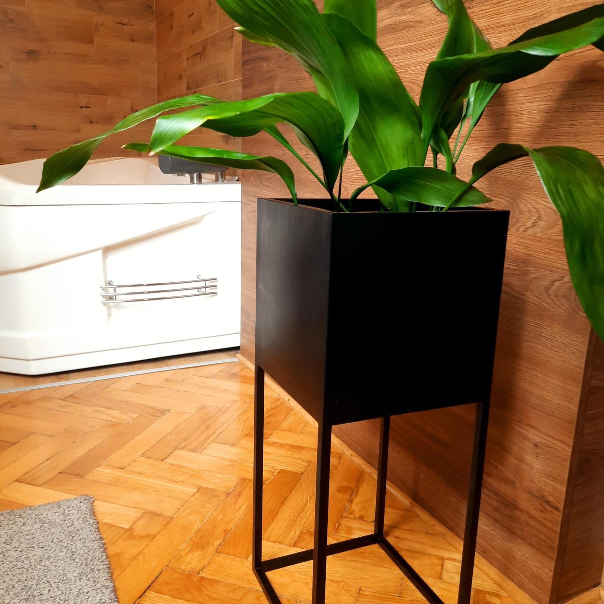 Apartman D Lux Jacuzzi Kragujevac Extérieur photo